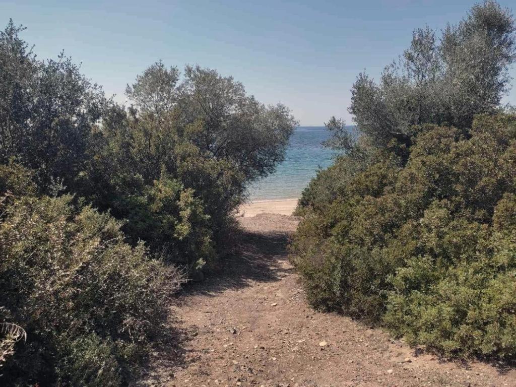 Enelia Villa Vatopédhion Bagian luar foto