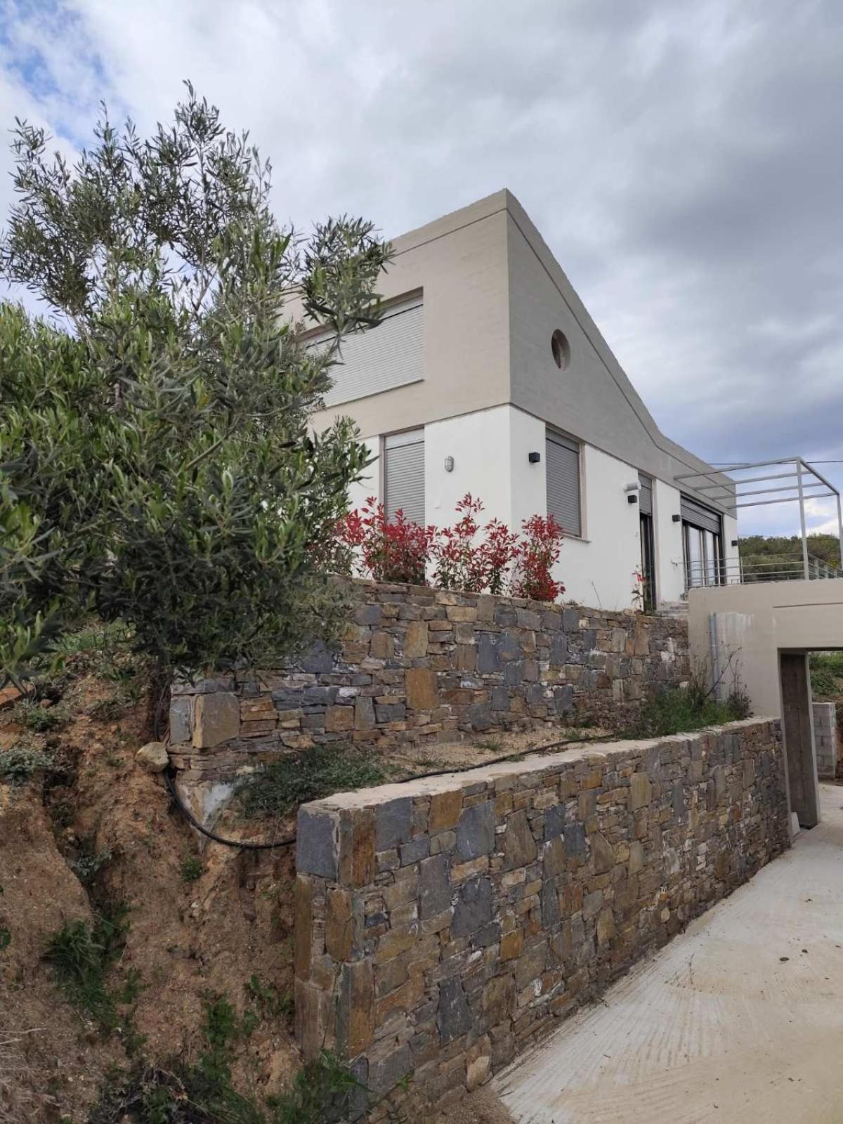 Enelia Villa Vatopédhion Bagian luar foto